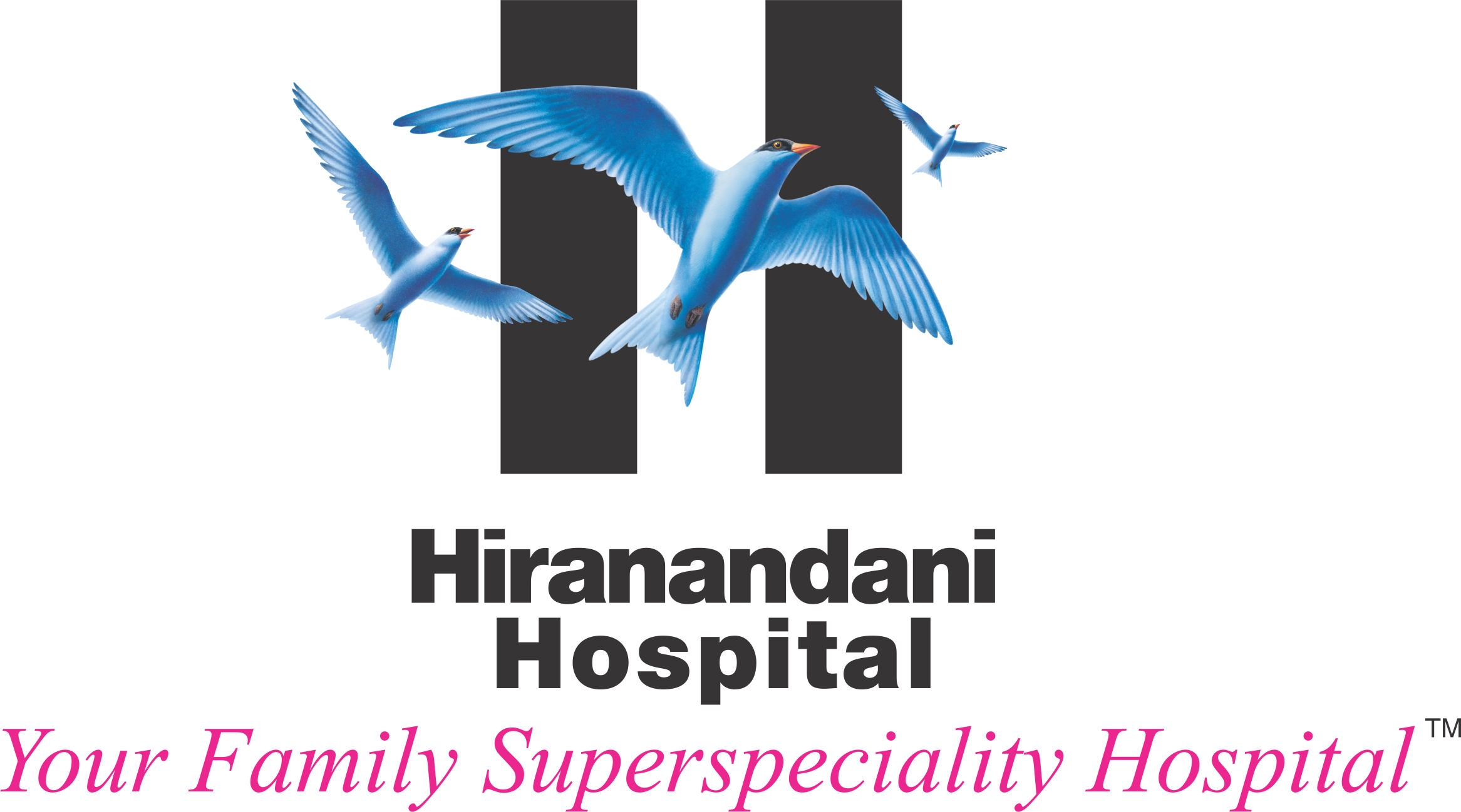 Hiranandani Hospital logo