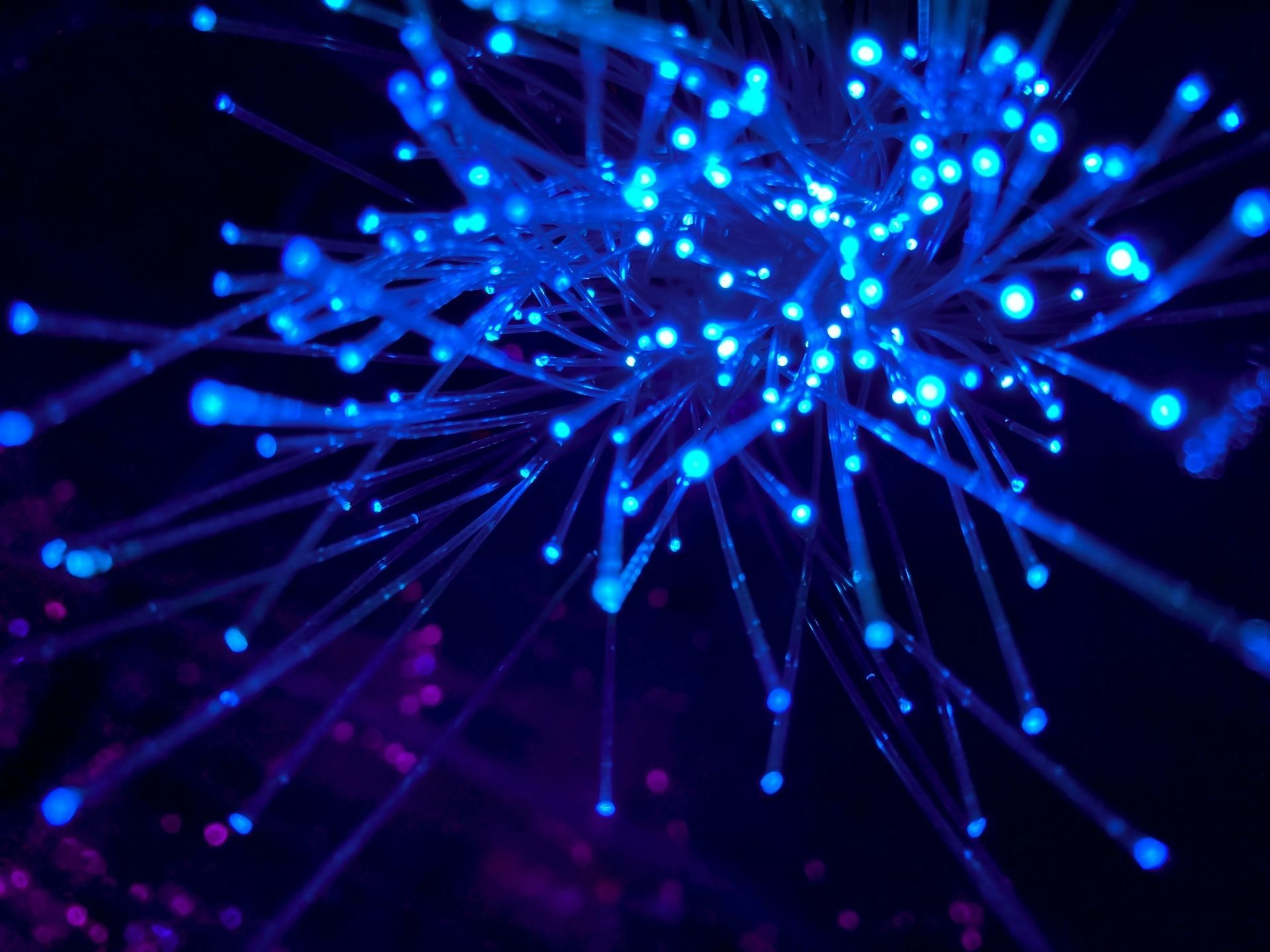 FTTH