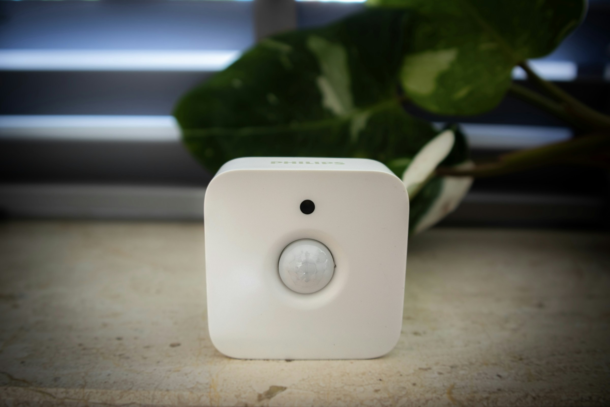 Intrusion Detection