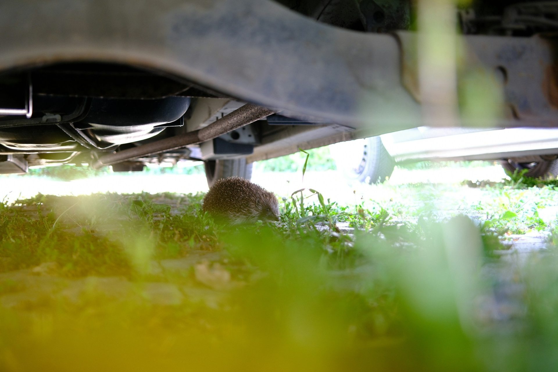 Under Vehicle Surveillance System